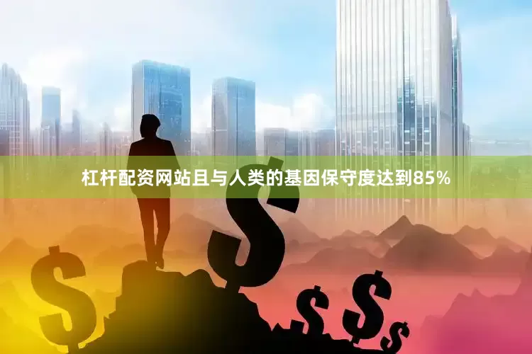 杠杆配资网站且与人类的基因保守度达到85%