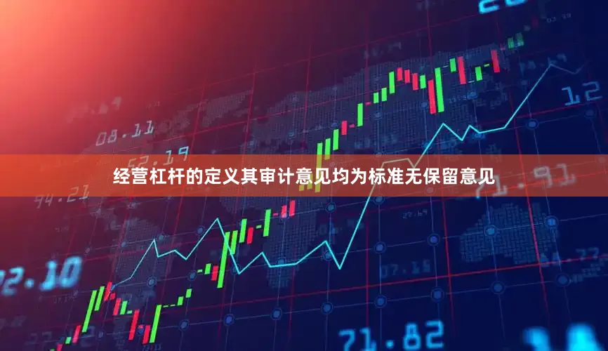经营杠杆的定义其审计意见均为标准无保留意见