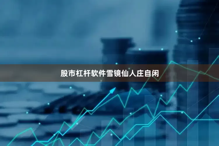 股市杠杆软件雪镜仙人庄自闲