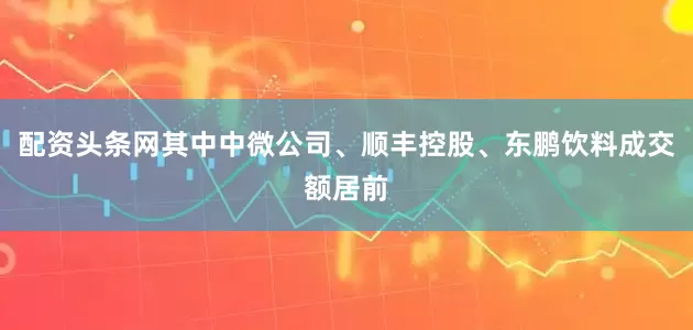 配资头条网其中中微公司、顺丰控股、东鹏饮料成交额居前