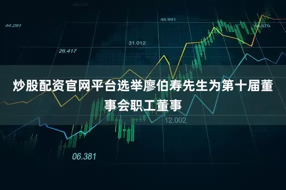 炒股配资官网平台选举廖伯寿先生为第十届董事会职工董事